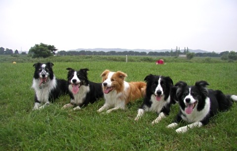 ナゼか淋しい集合