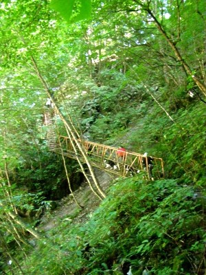 恐怖のつり橋・メッシュ編