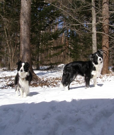 冬の八ヶ岳＠大雪編２