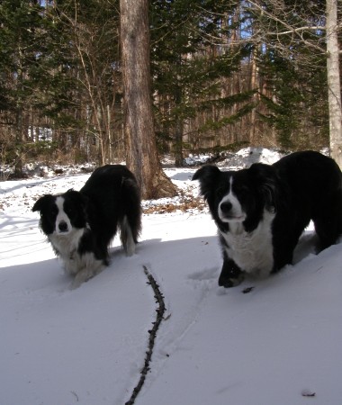 冬の八ヶ岳＠大雪編３
