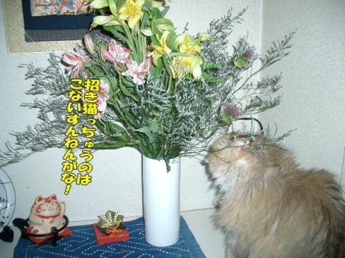 招き猫３.jpg