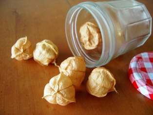 ふうせんかずら