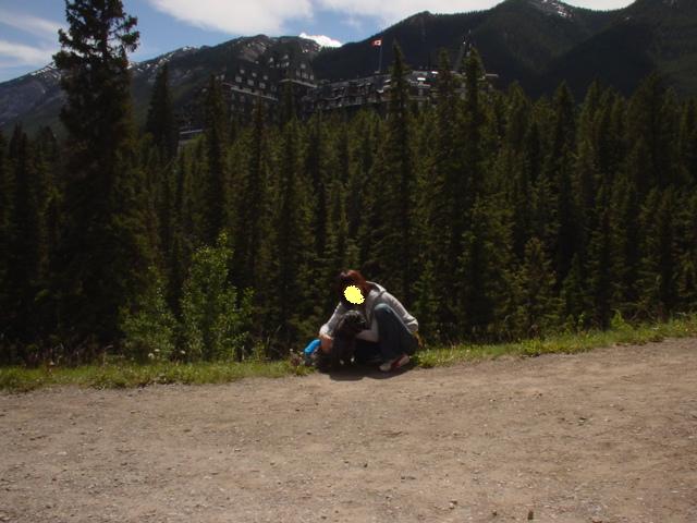 banff springs