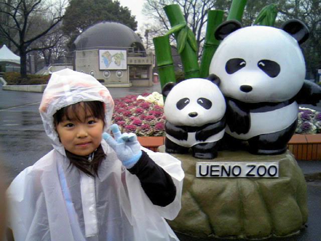 上野動物園のパンダ