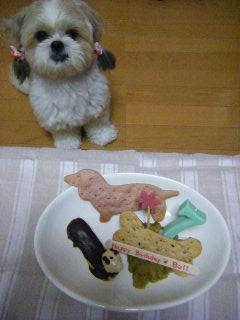 BLOG2008_1016ベルたん７歳お誕生日0011.JPG