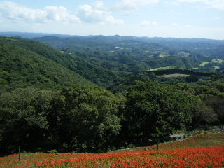 2009_0923マザー牧場0018.JPG