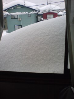 20100117113956.jpg