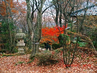 20101127_CIMG0017.jpg