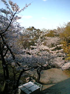 四條畷神社３