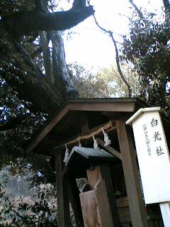 道明寺８