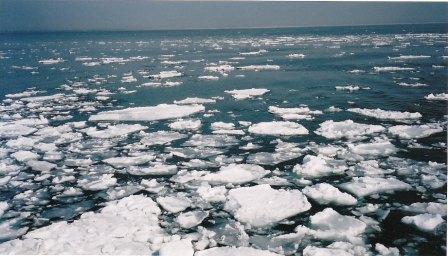 オホーツク海流氷