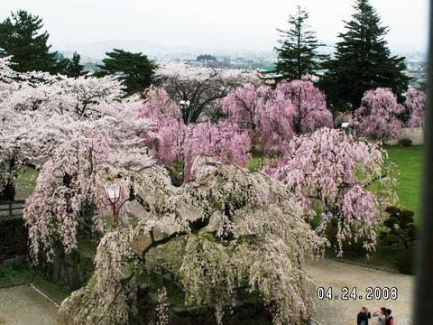 弘前城・天守閣よりのながめ