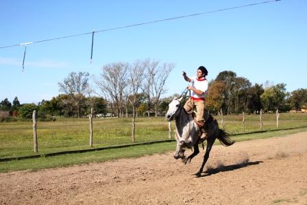 観光牧場の馬（Gaucho)