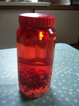 赤い実の果実酒