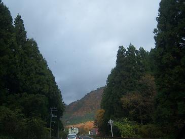 関山峠の虹・1