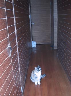 今日の許容範囲・１