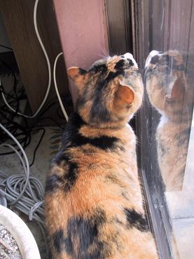 お外に行く～♪