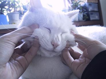 マシロいじり・１