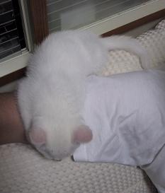 危ういバランス