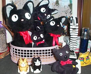 猫尽くしコーナー