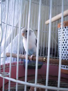 小空ちゃん・１