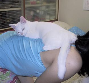 ピーの背中の上のましろ・２