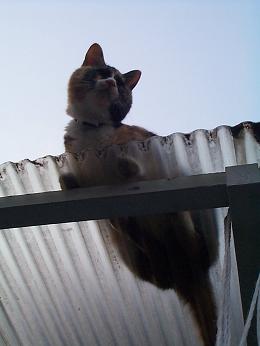 待ちぼうけのく～・１