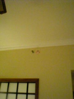 スプリンクラー