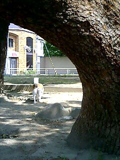 芸術的