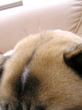 アンテナ２号１