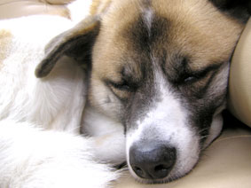 アンテナ２号２