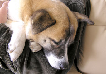 そりゃどうも１