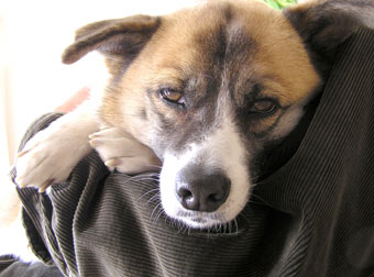 そりゃどうも２