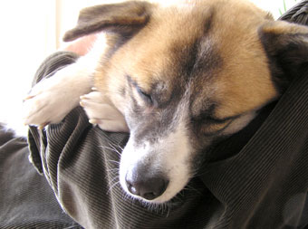 そりゃどうも３