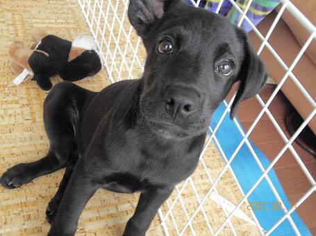 オヤジっぽい＾＾；