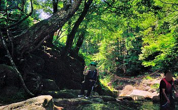 高賀川ブランコ.jpg