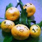 みかん.JPG