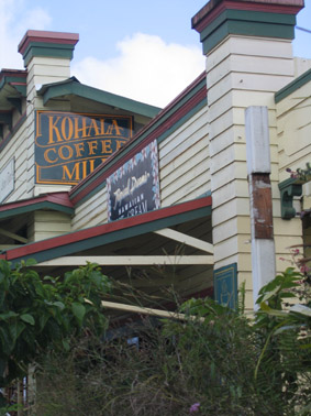 Kohala Coffee
