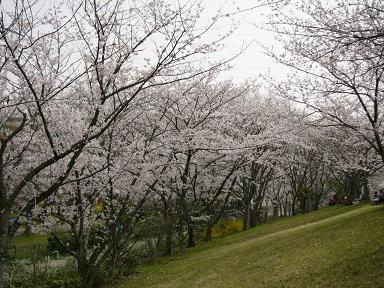 武庫川