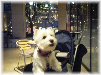 St.へレナカフェ