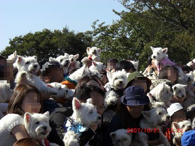 07ウェスティ立川オフ