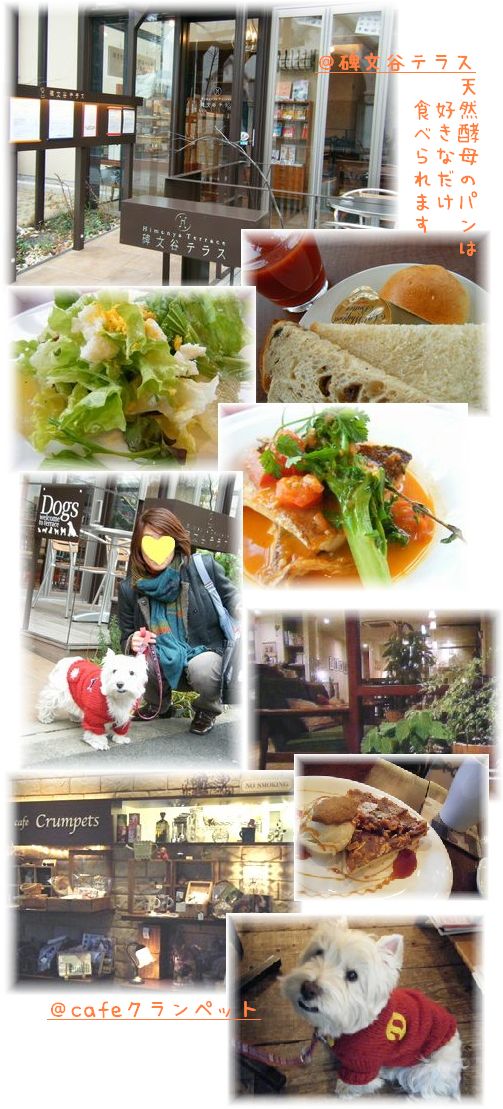 碑文谷テラスとカフェクランペット