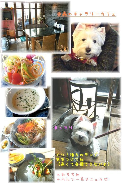 森のギャラリーカフェ