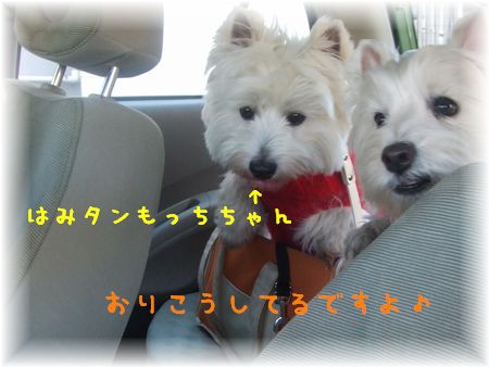 @もっち号内