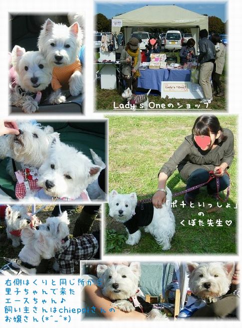 ウェスティ立川オフ2008