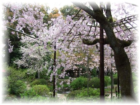 平安神宮