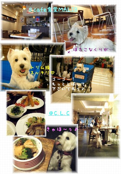 トリミングですっきり♪