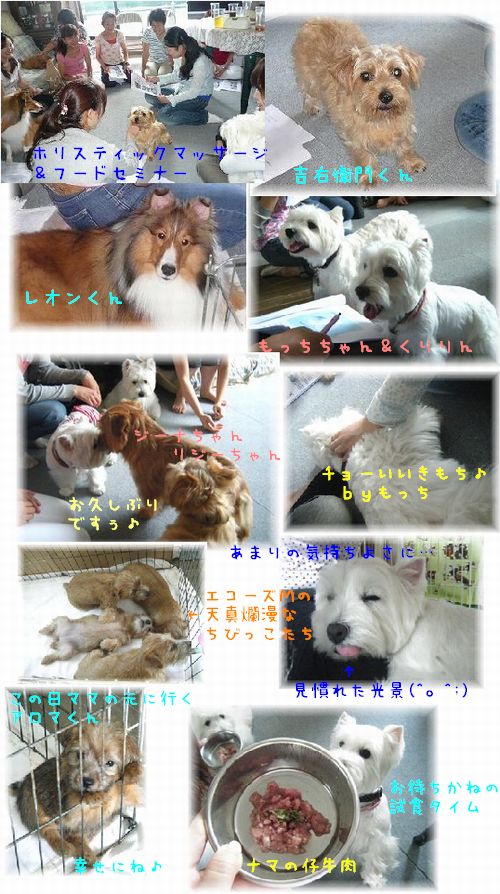 ホリスティックマッサージ教室