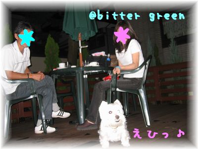 @bitter green