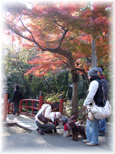 @深大寺